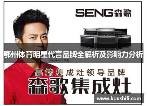 鄂州体育明星代言品牌全解析及影响力分析
