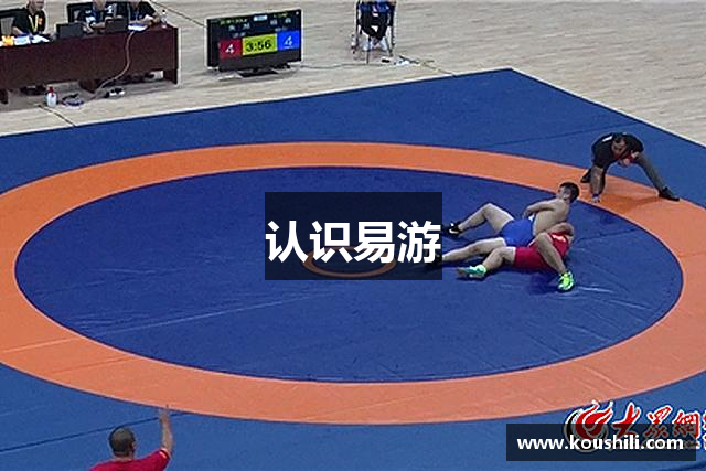 认识易游